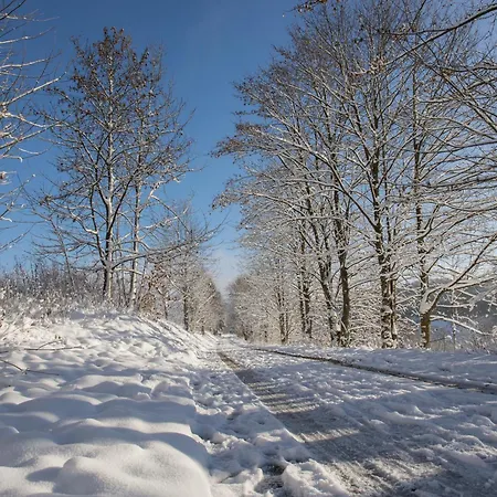 Welcome In - 'wintertraum', In Pistennaehe, Mit Balkon, In Schoener Umgebung - Neuastenberg, Вінтерберг